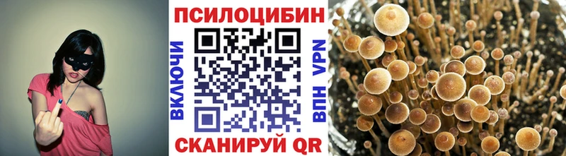 mega ONION  наркошоп  Луга  Псилоцибиновые грибы мицелий 